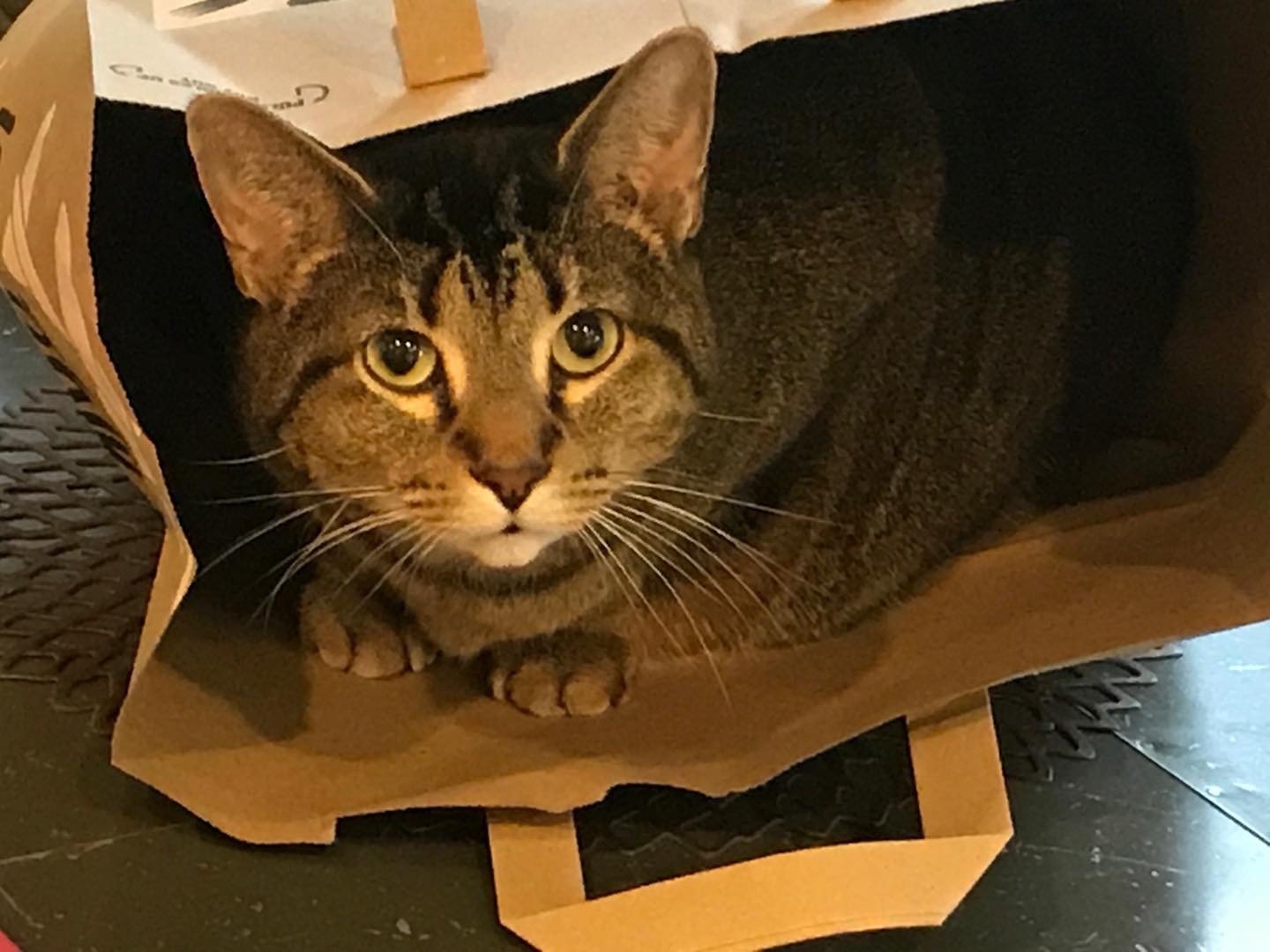 9/8/20 Skippy