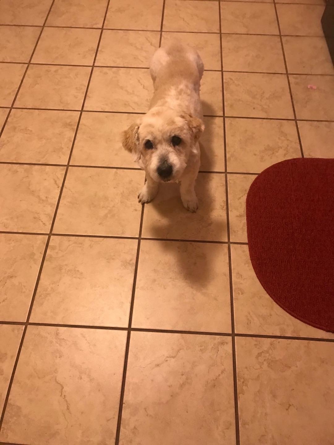 10/1/20 Izzie