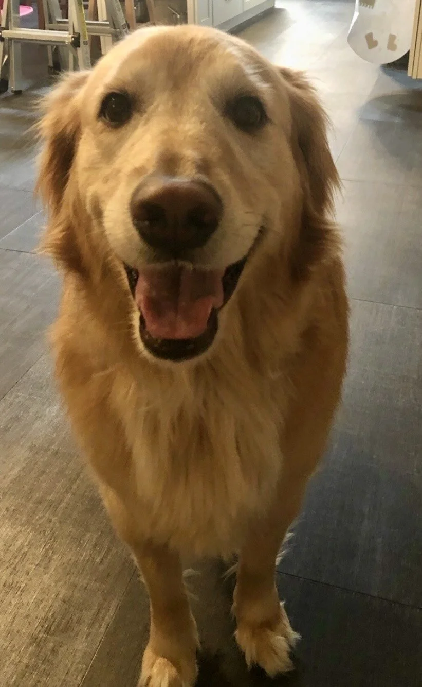 8/11/26 Lilly