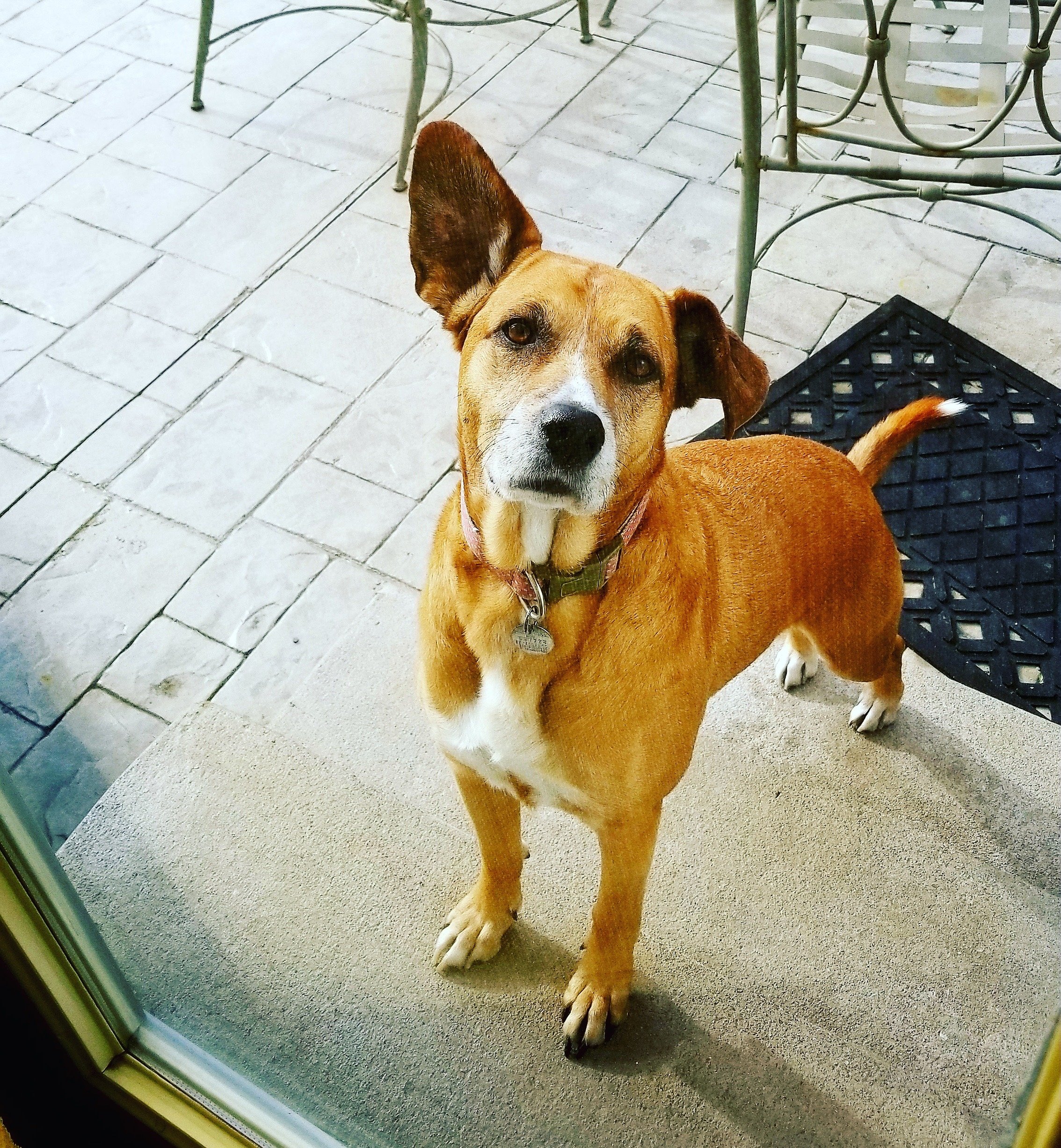 5/20/25 Bailey