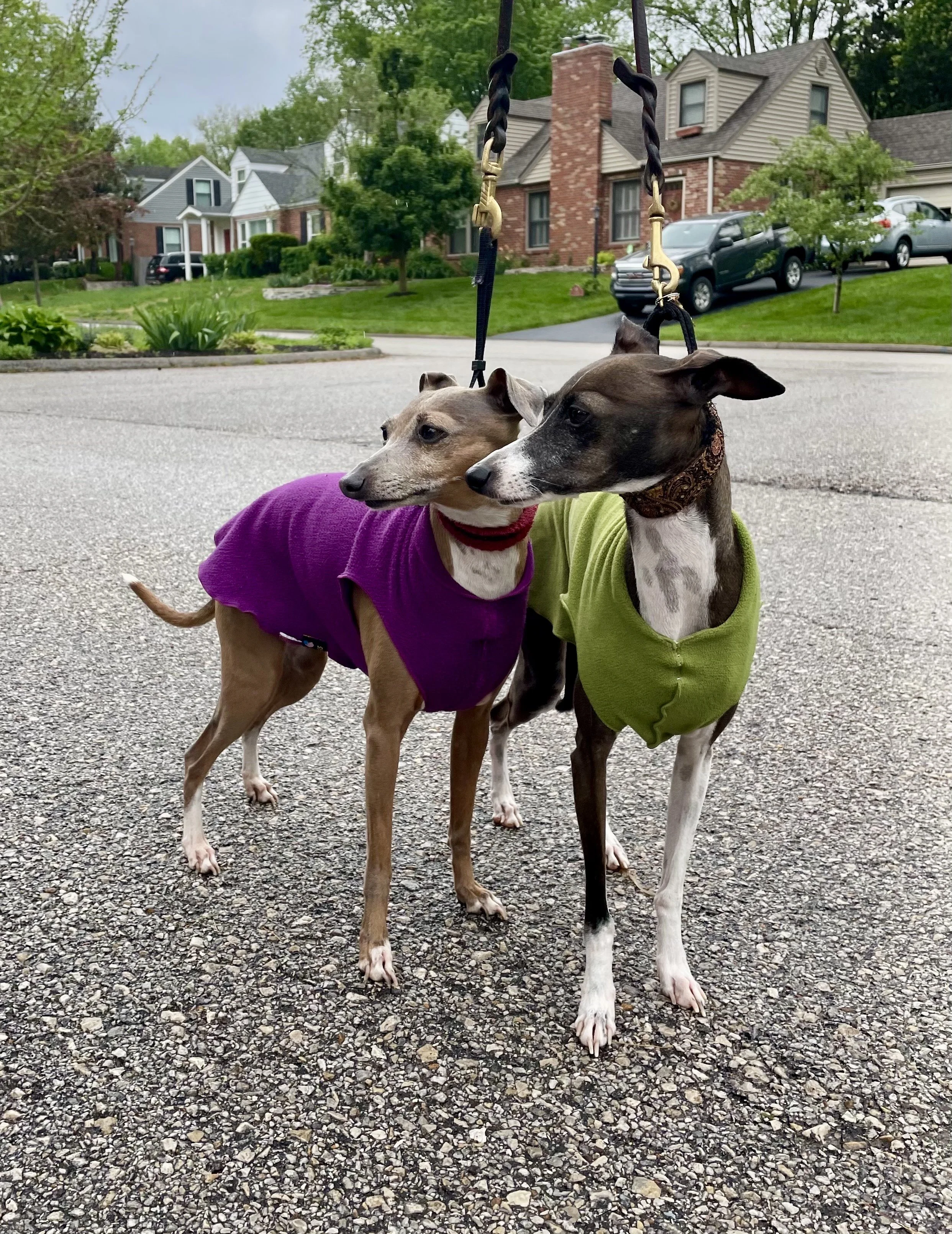 8/24/26 Truly & Betty