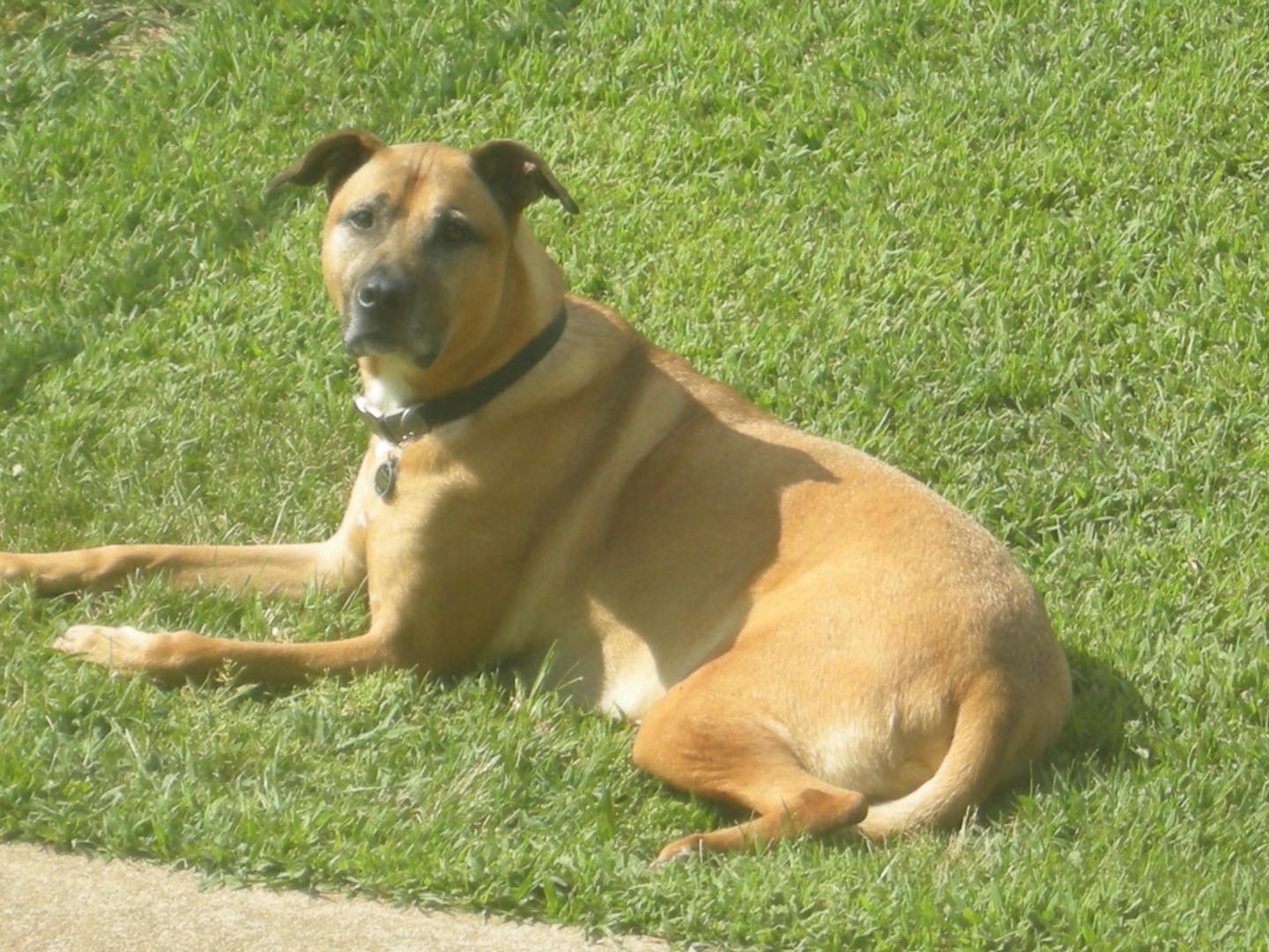 10/20/20 Murphy
