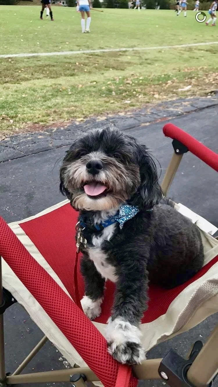 8/3/26 Lewis