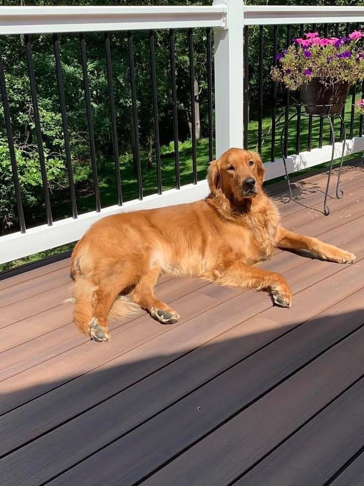 5/29/20 Zeus