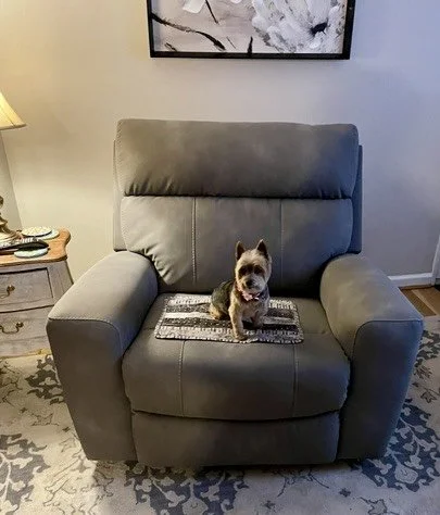 6/3/26 Penny