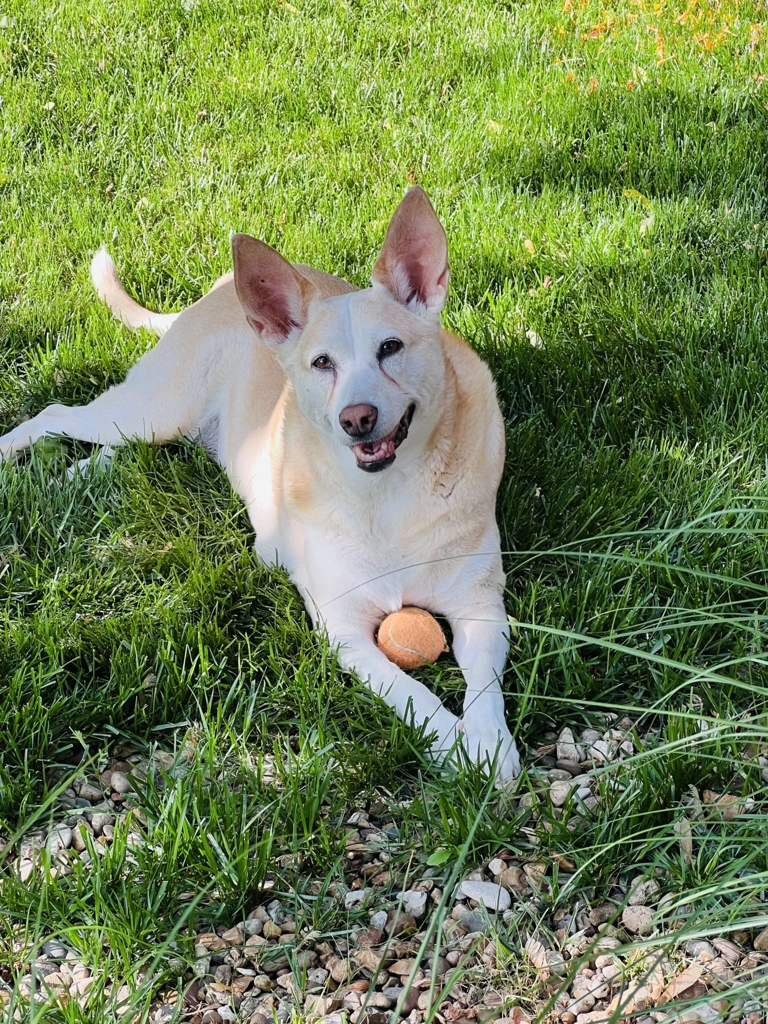 9/9/25 Sadie
