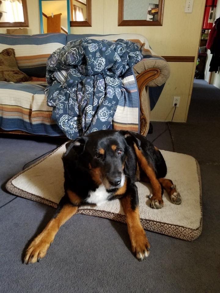 1/20/20 Buddy