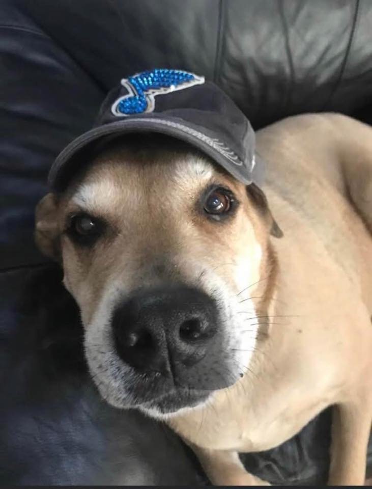 3/27/20 Bernie