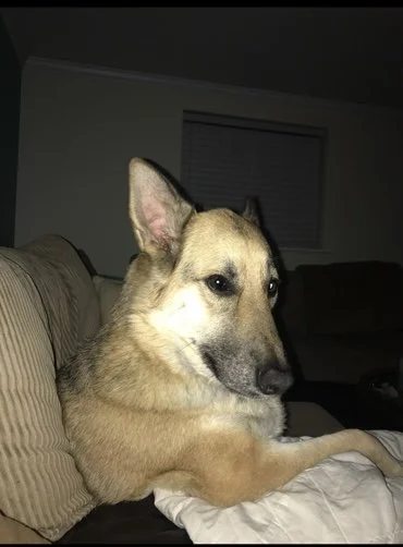 8/12/25 Greta