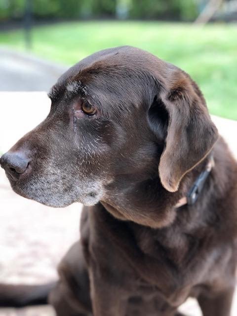 12/9/20 Lola