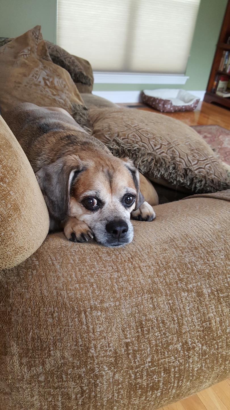 6/16/20 Lily