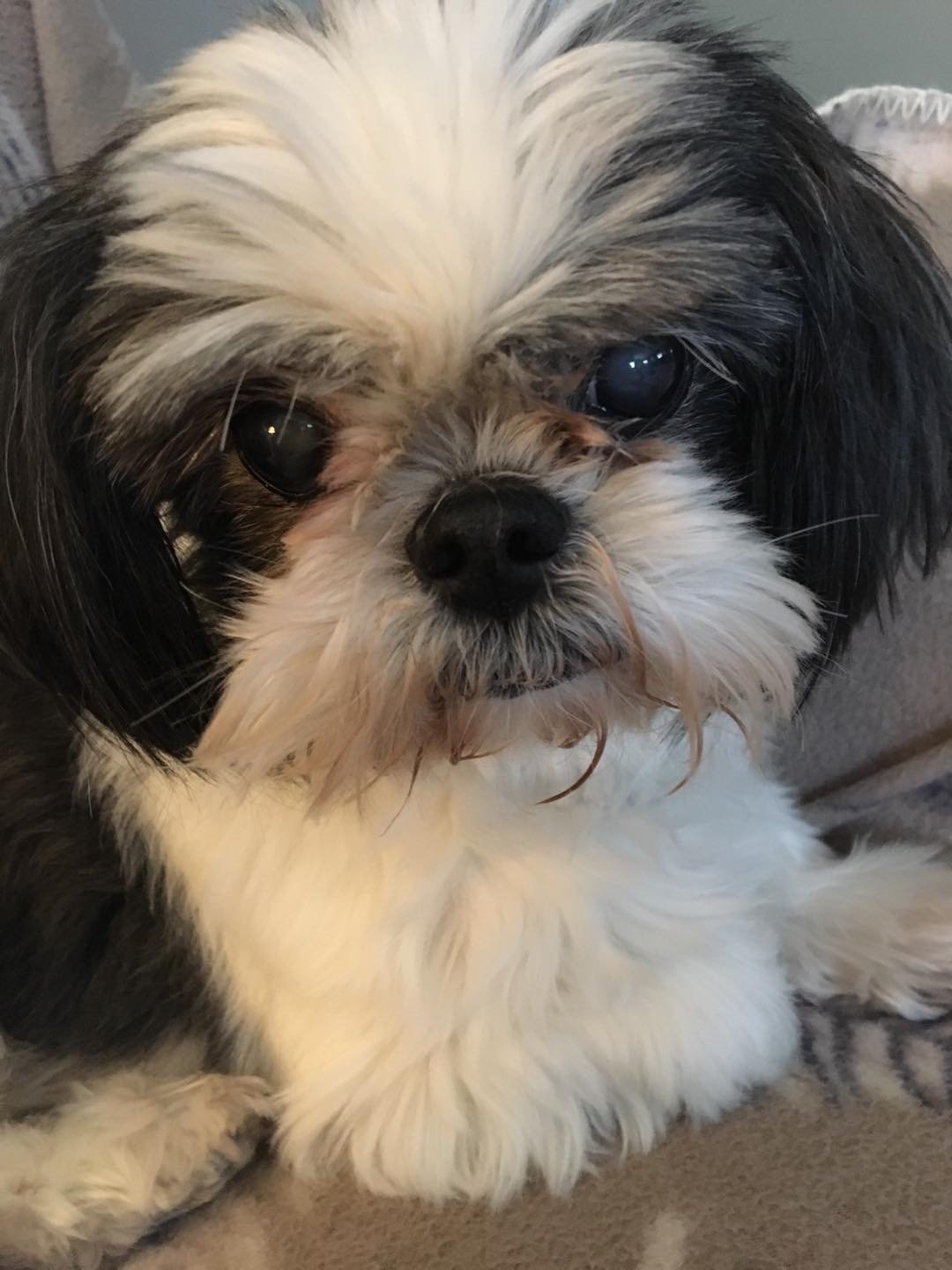 9/2/20 Tinkerbell
