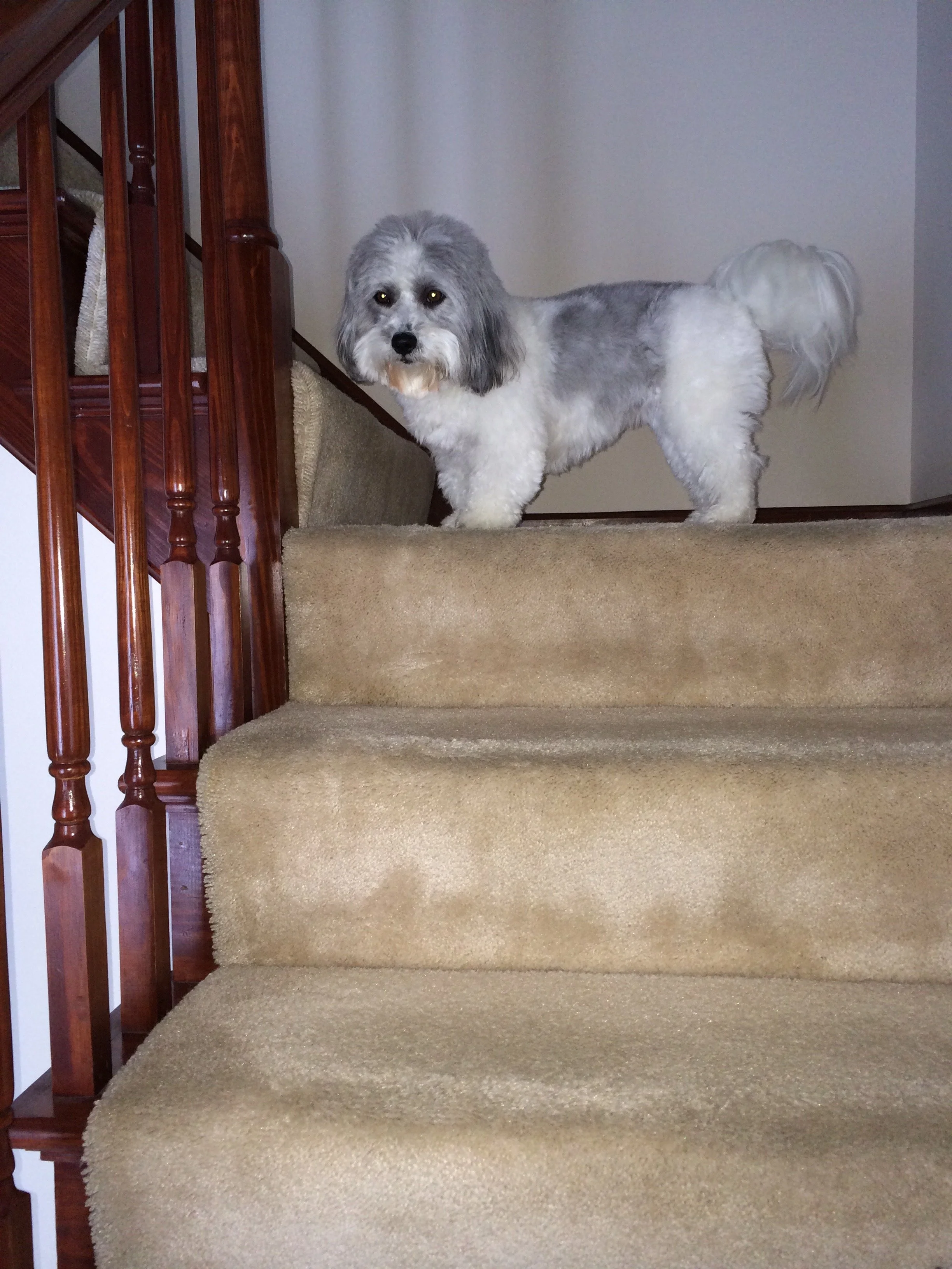 6/11/26 Lexi