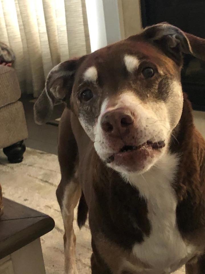 1/18/20 Bailey