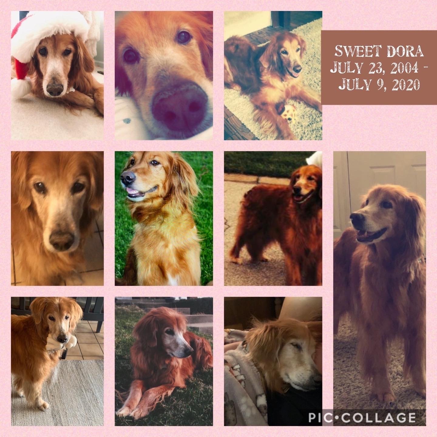 7/9/20 Dora