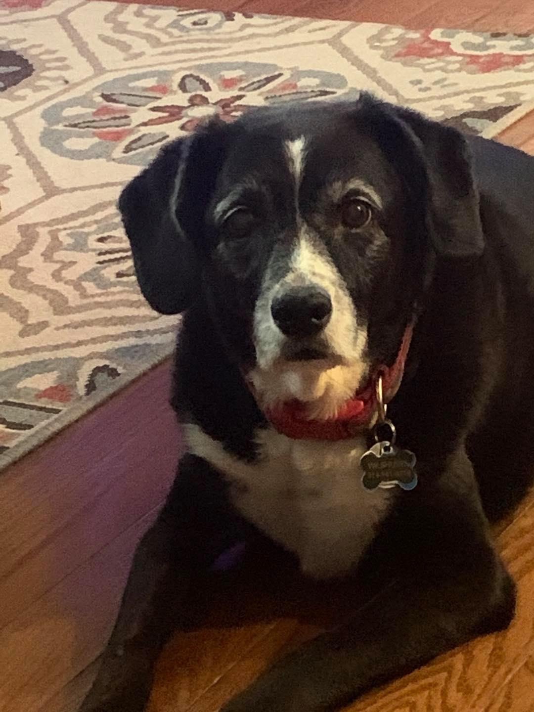 7/1/20 Lacey