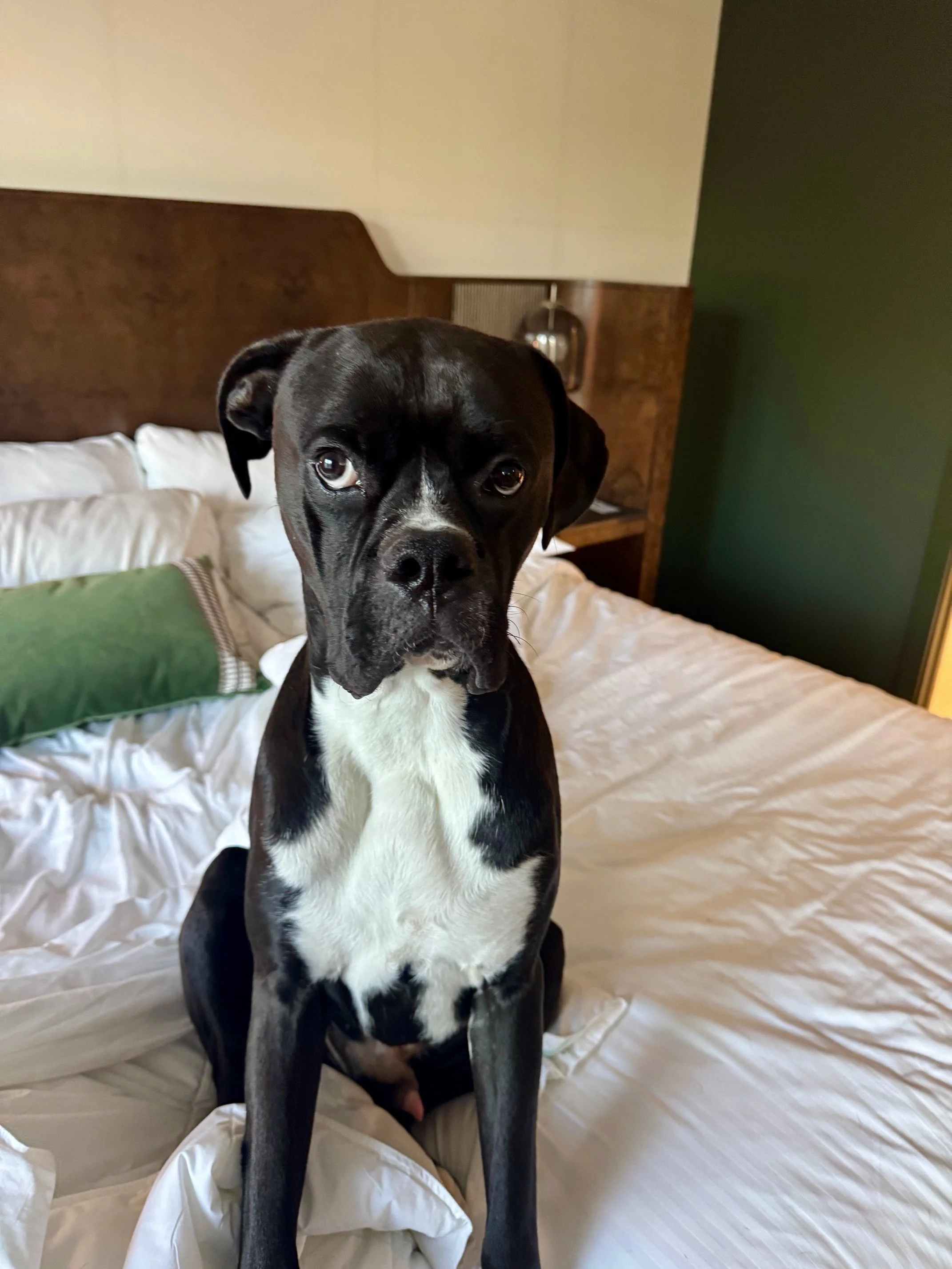 3/18/26 Bubba