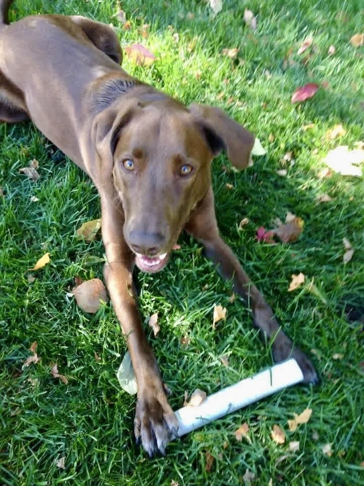 3/31/26 Cooper