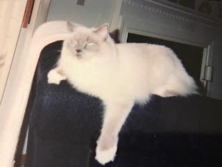 12/24/20 Sabrina