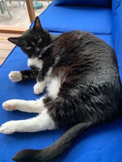 9/29/20 Mitten