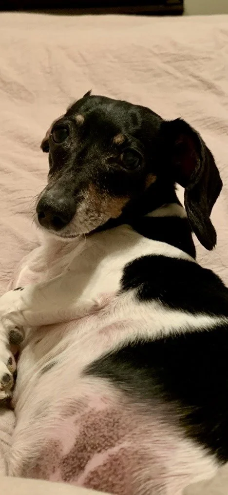 8/4/25 Sophia