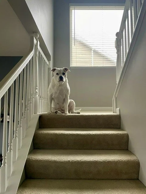 4/10/26 Lola