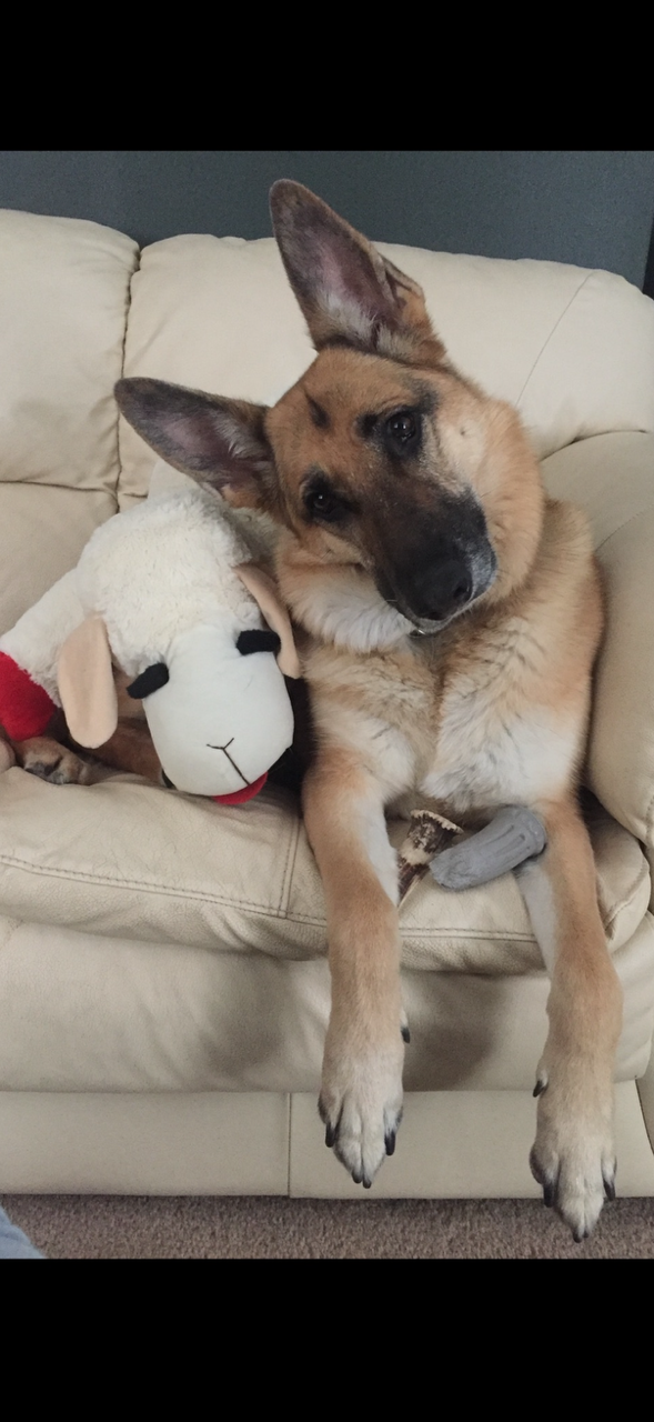 9/2/25 Heidi