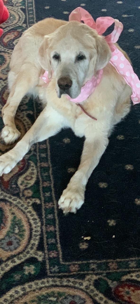 12/18/20 Lucy