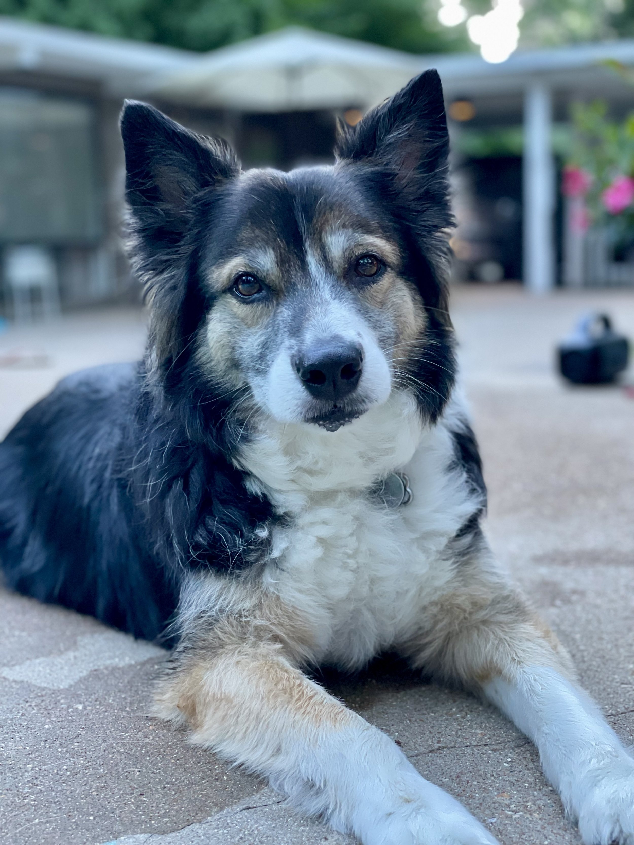 6/20/25 Stella