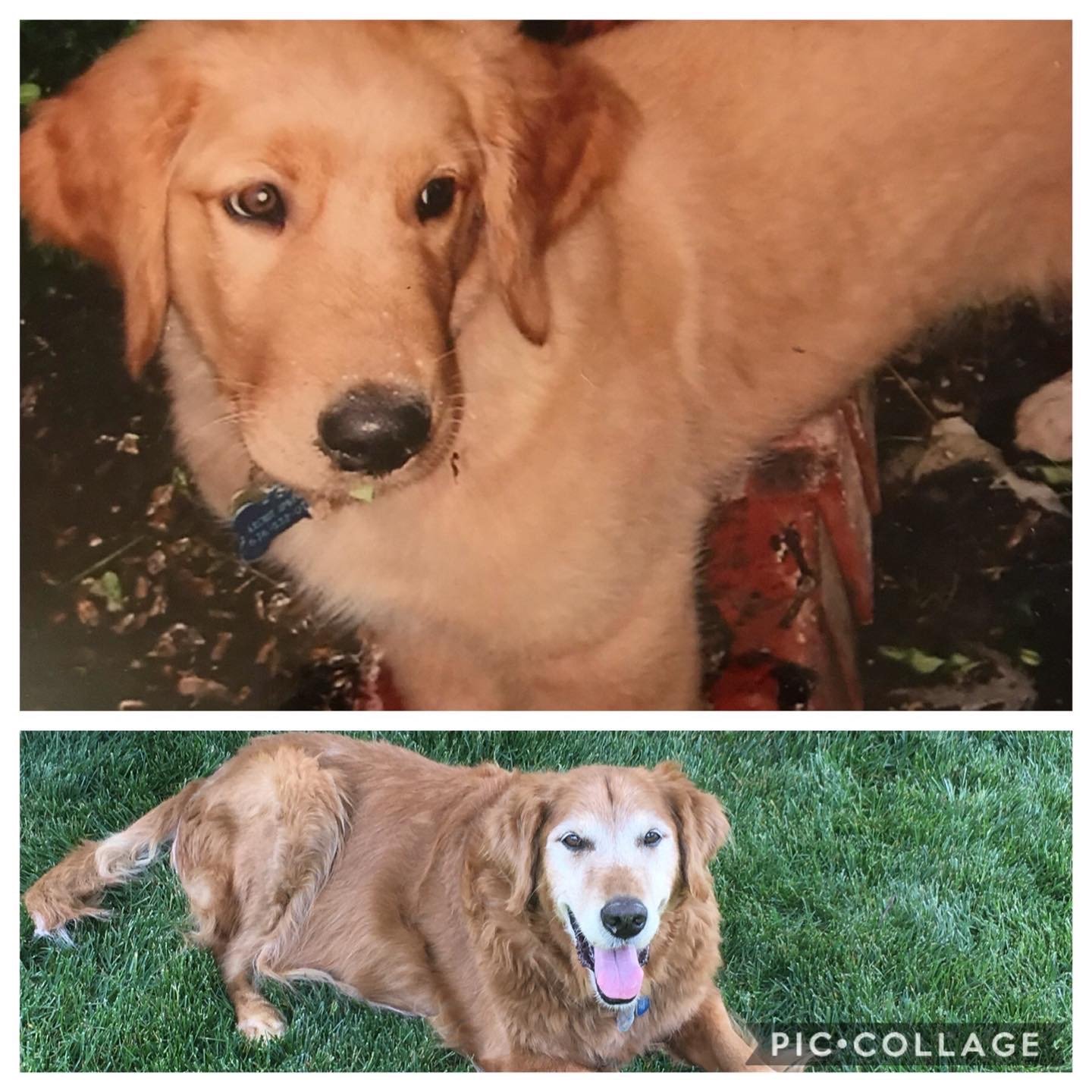 8/30/20 Archie