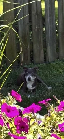 6/19/26 Kiwi