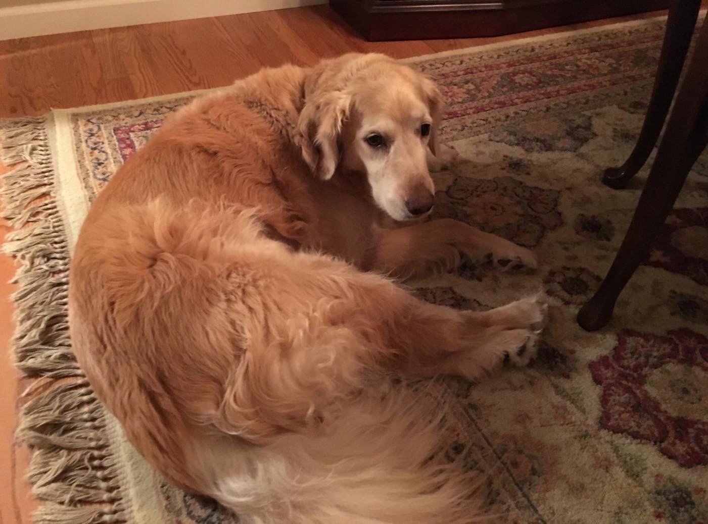 6/24/20 Bailey