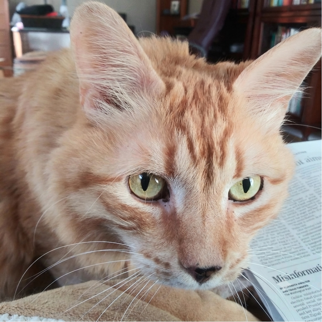 6/25/26 Charley