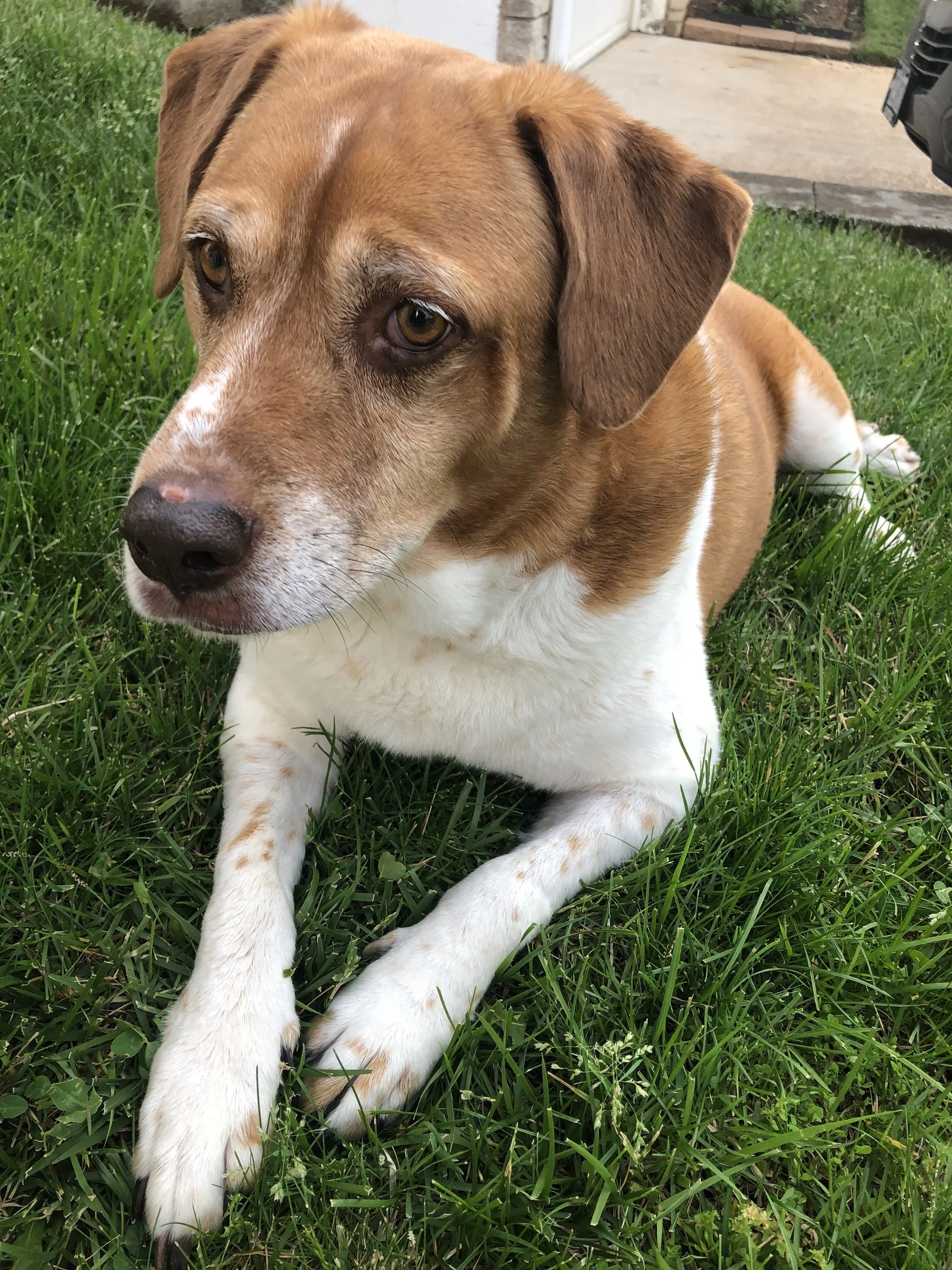 8/20/26 Colby