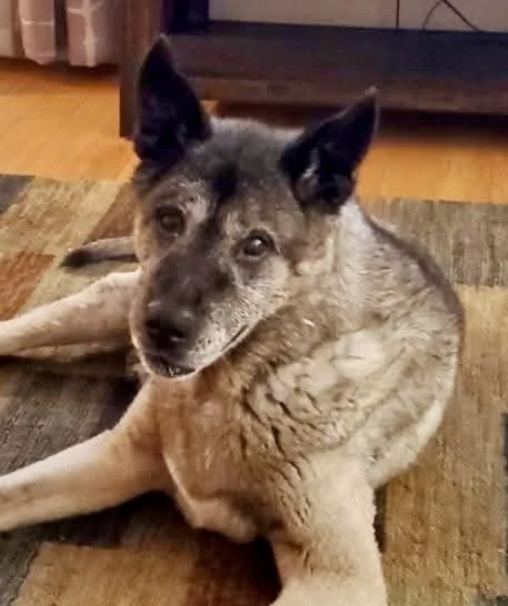 3/18/26 Leia