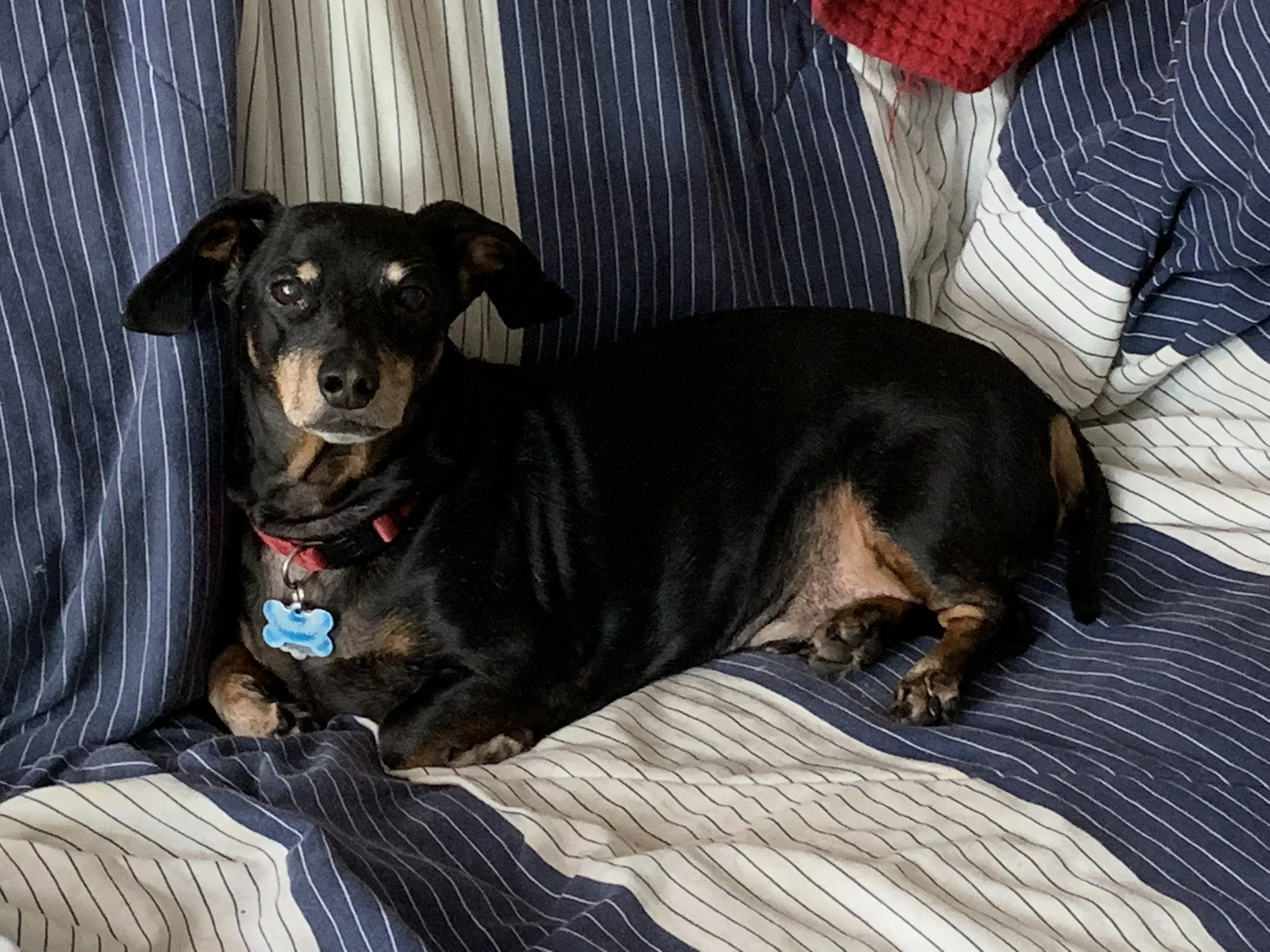 8/6/25 Walter