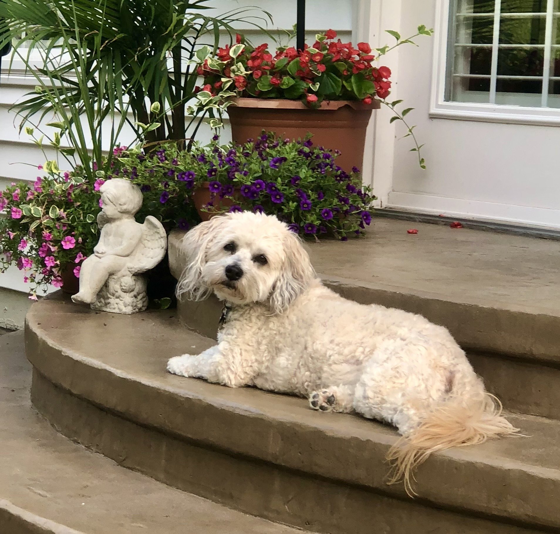 6/4/25 Bella
