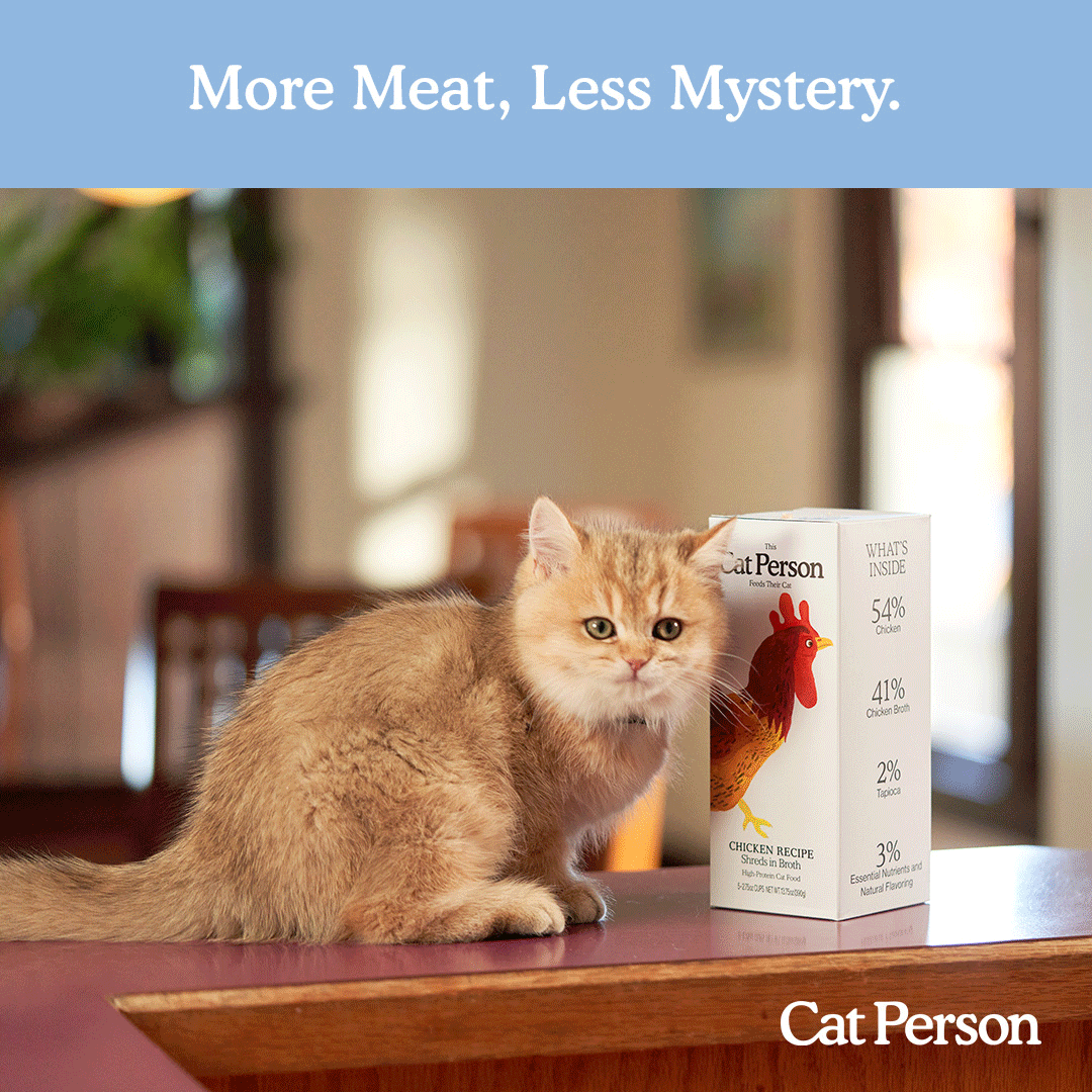 Cat-Person---March---Gif---03.gif