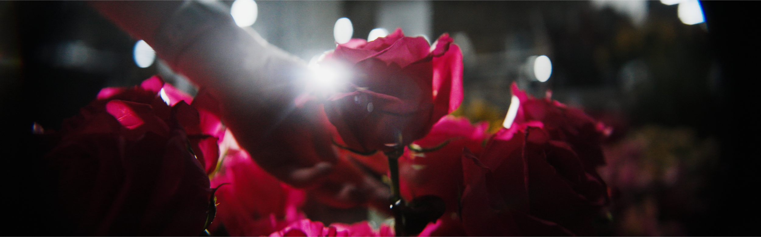 03_WIDE_LETTERBOX_70 Copy 01.00_00_26_12.Still042.png