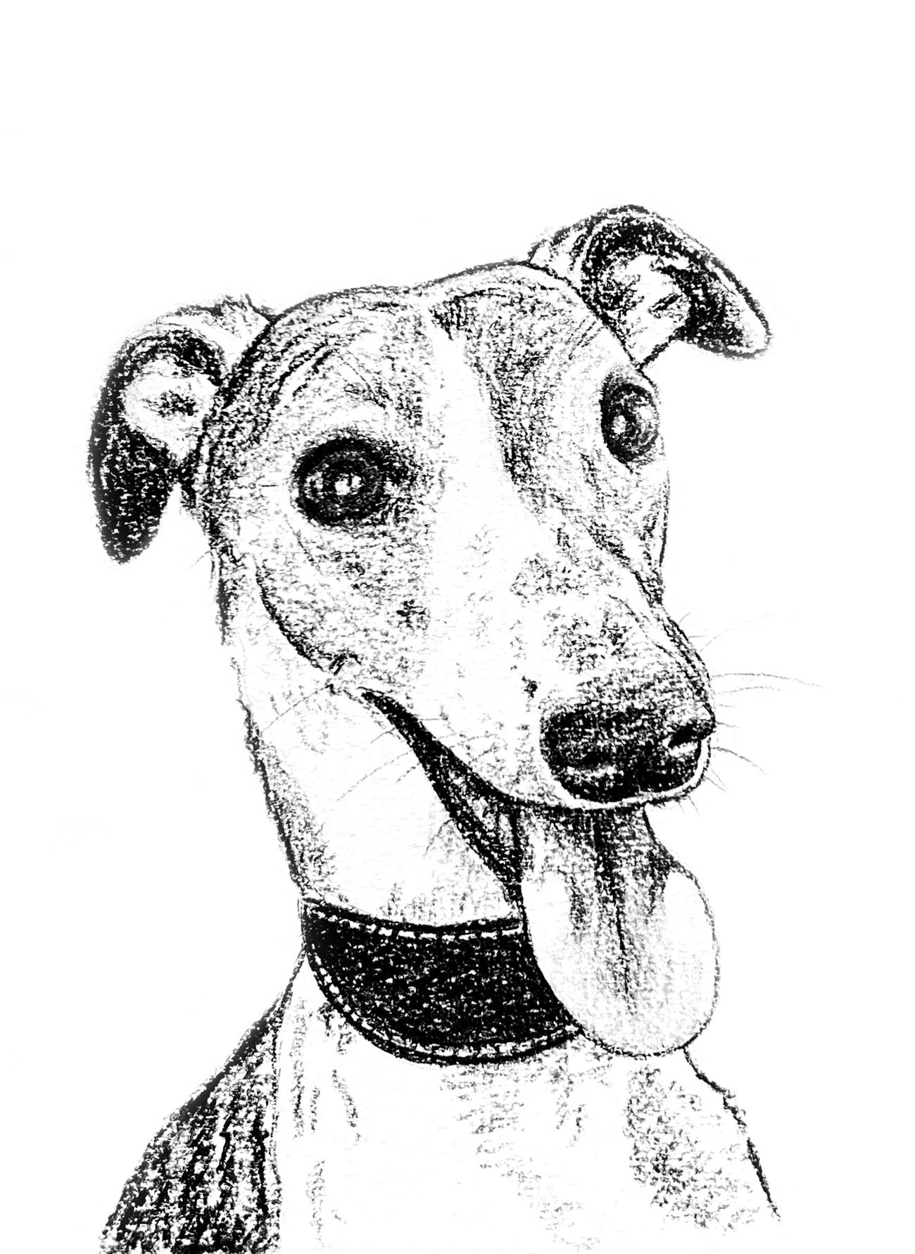 Salme-Pet-Portrait-Sketch-16.jpg