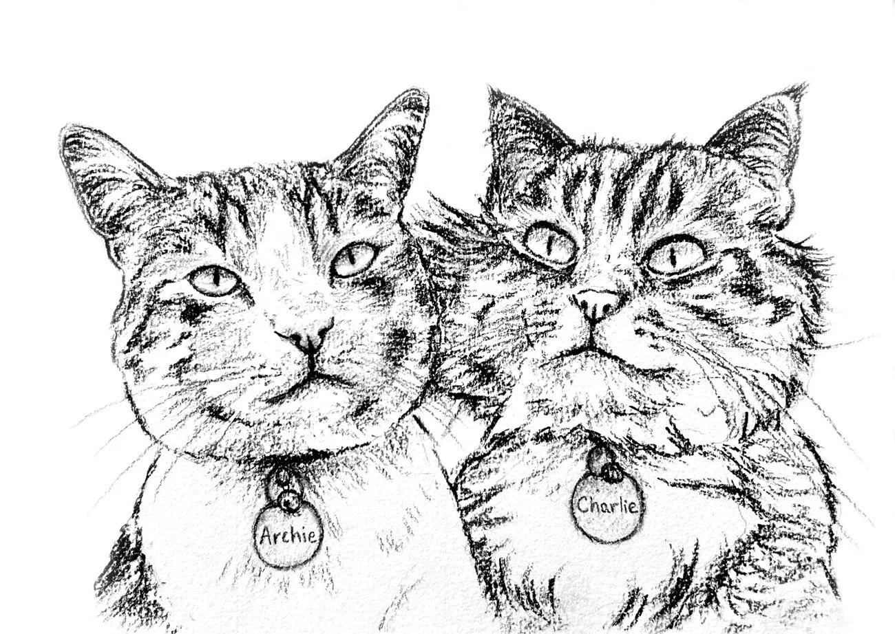 Salme-Pet-Portrait-Sketch-12.jpg