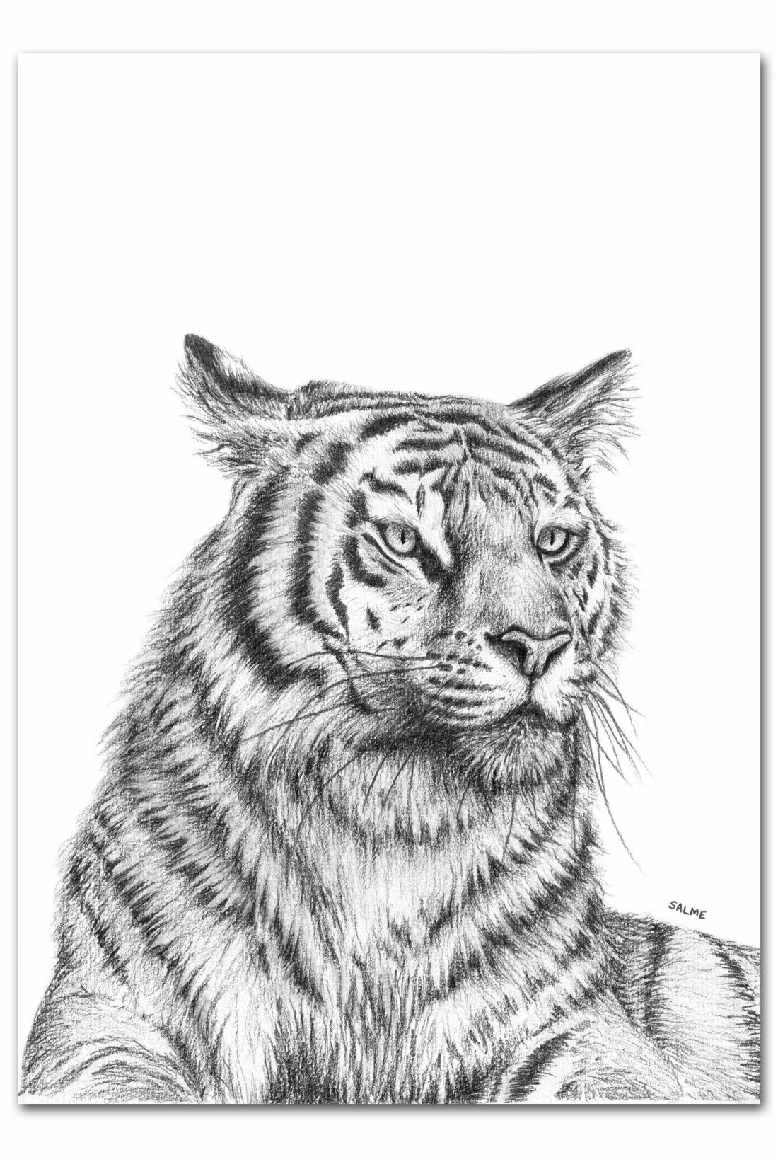 Not Another Tiger In Captivity print