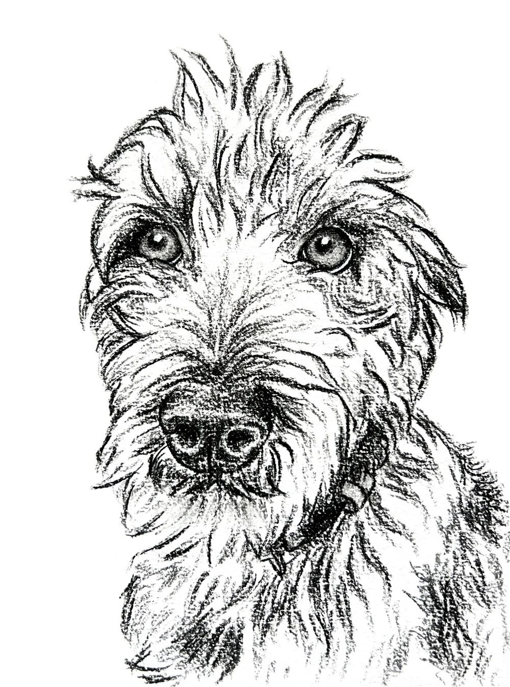 Salme-Pet-Portrait-Sketch-32.jpg