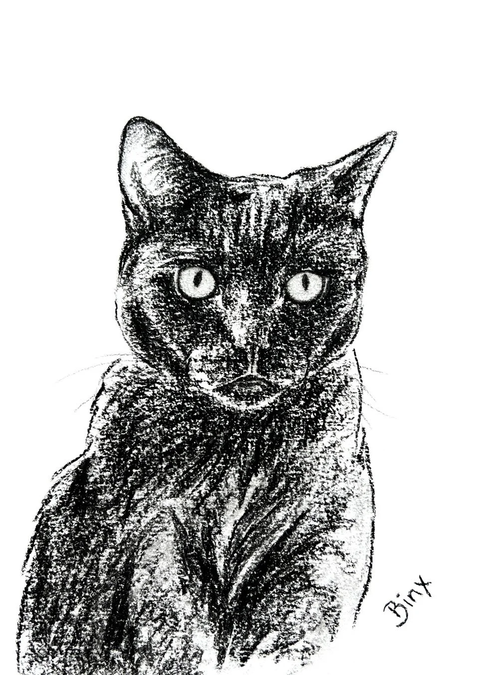 Salme-Pet-Portrait-Sketch-25.jpg
