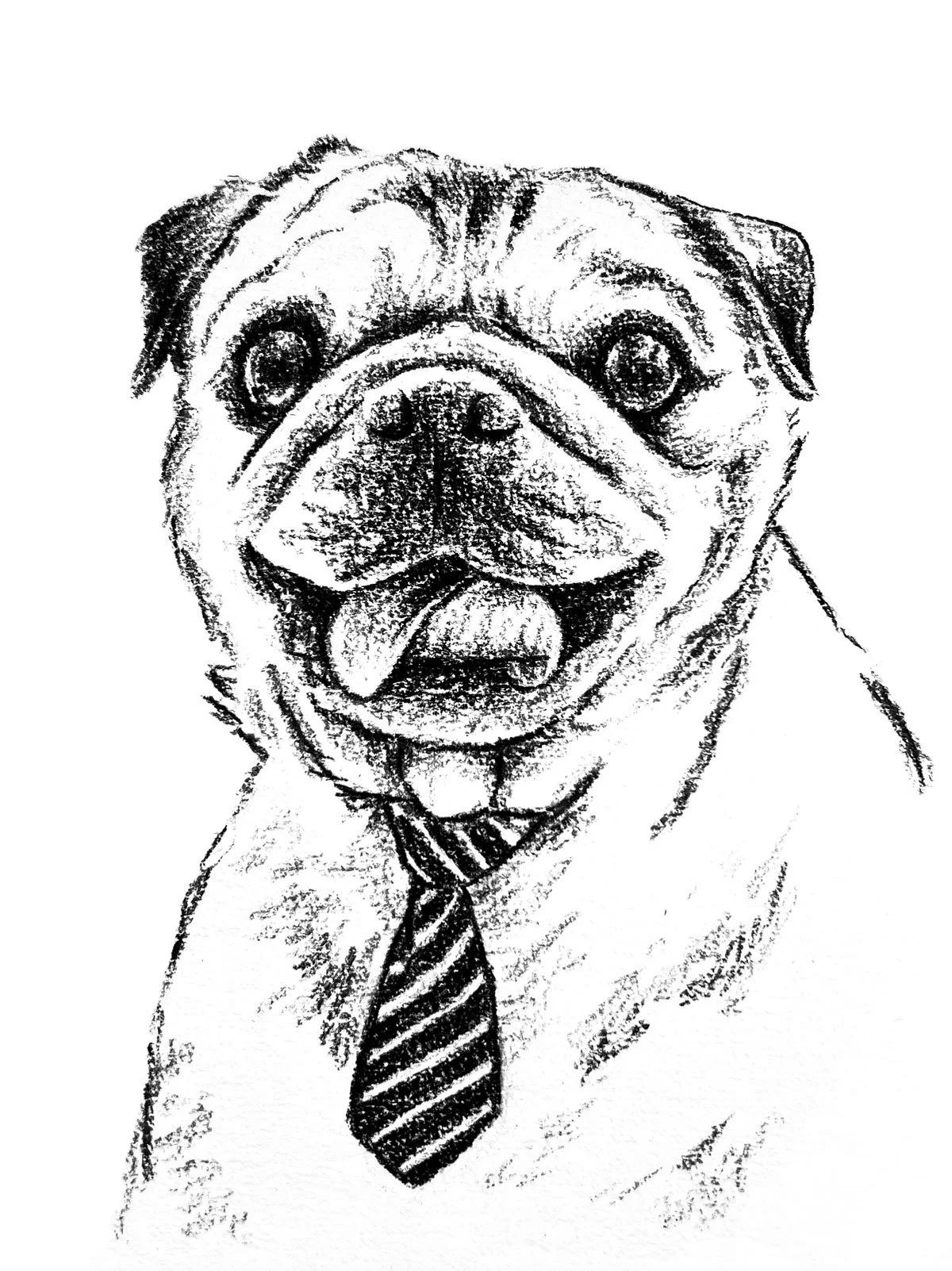 Salme-Pet-Portrait-Sketch-35.jpg