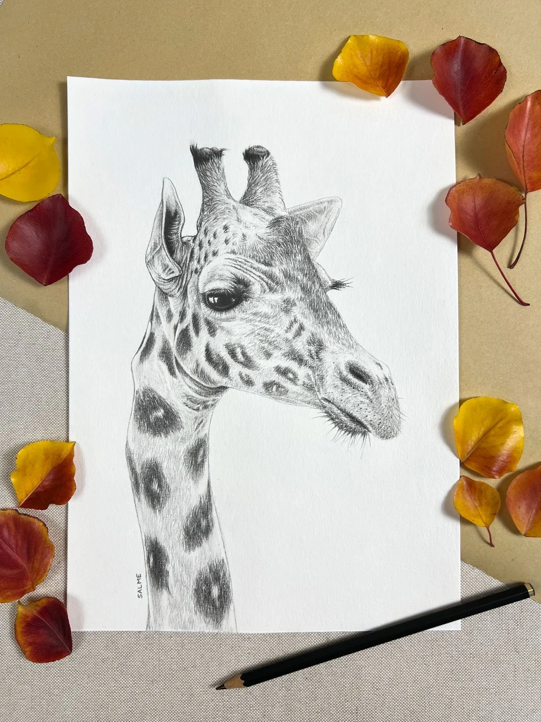 Original charcoal drawing of a giraffe amongst gift wrapping decoration