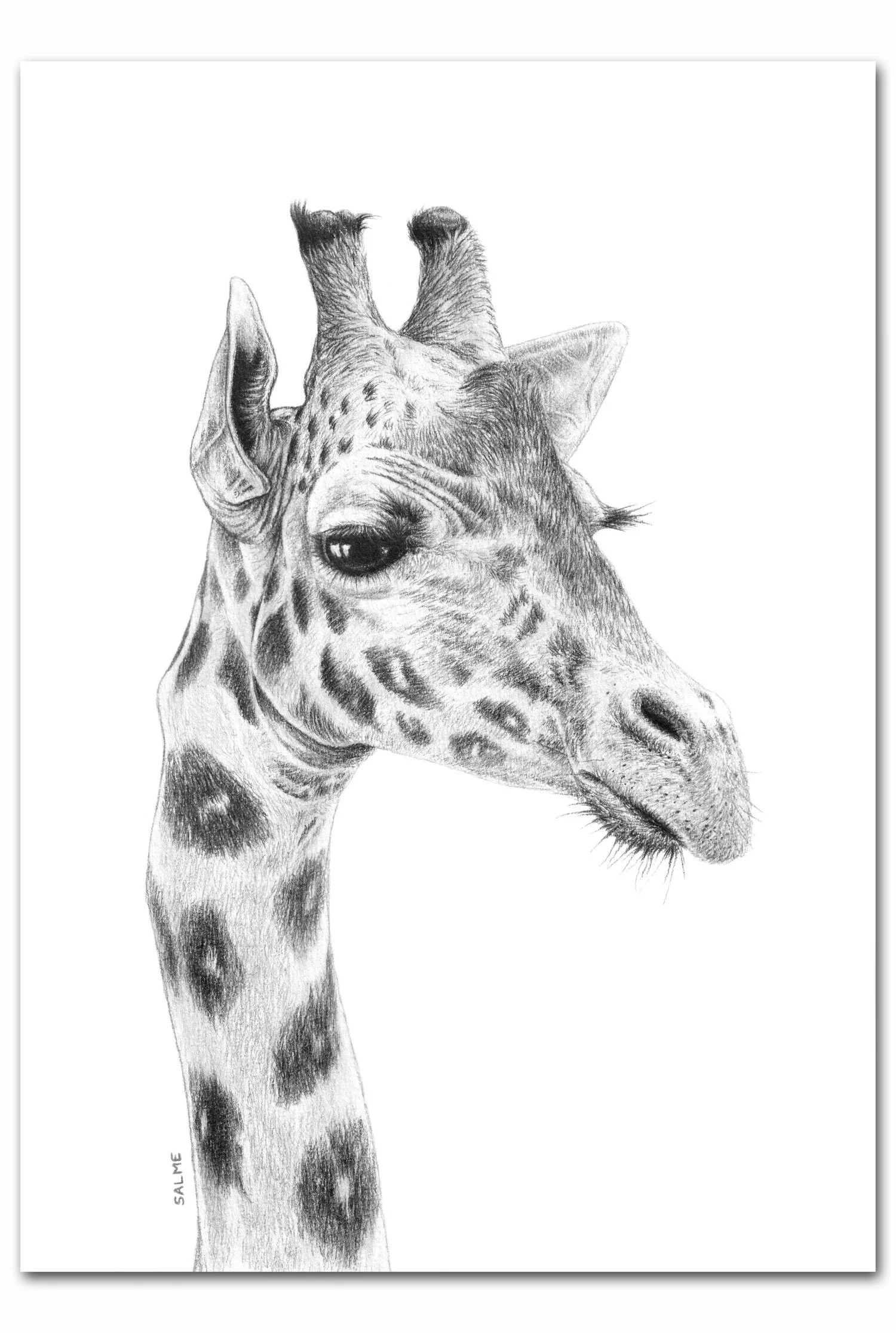 From Above - Print