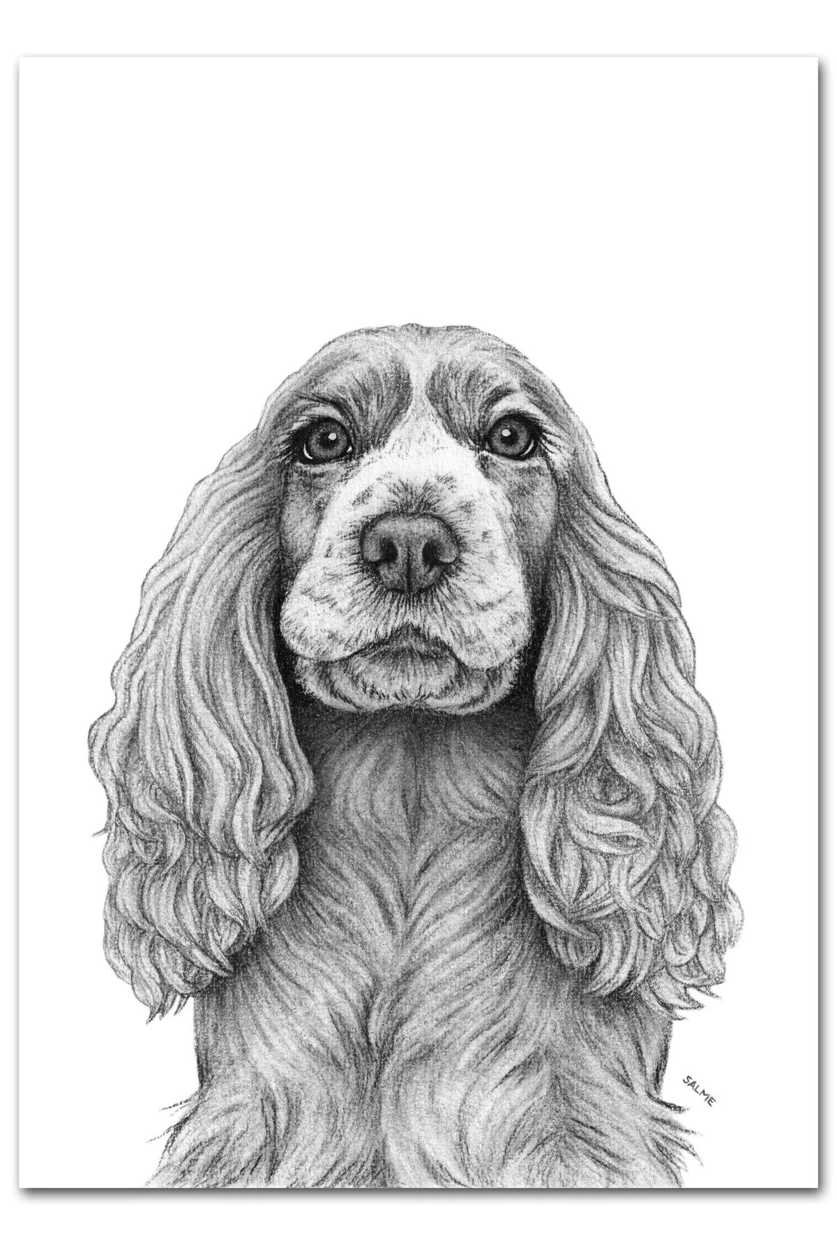 Cocker Spaniel - Print