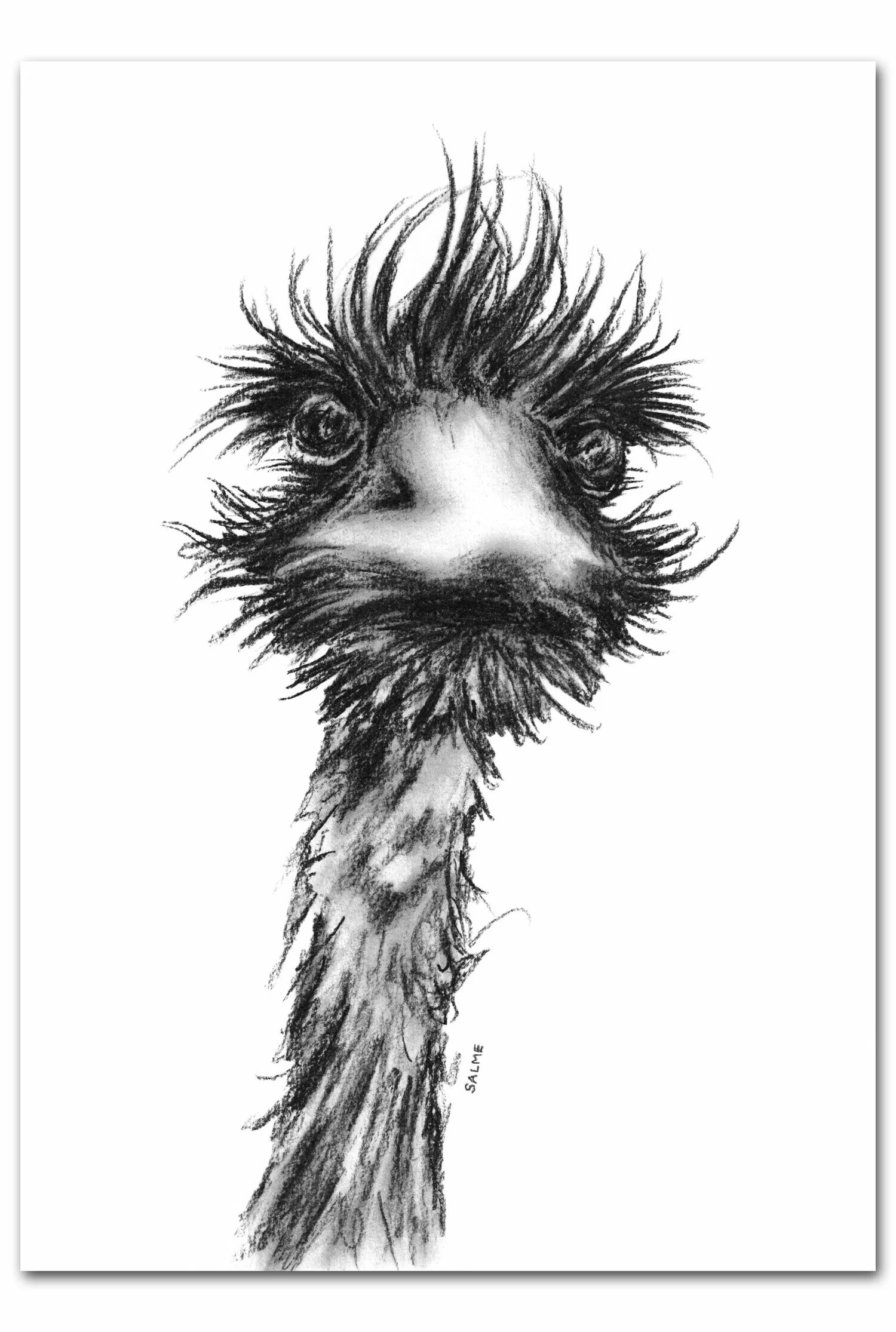 Cute and playful art print of an emu drawing. The emu looks at the viewer with an angry expression.