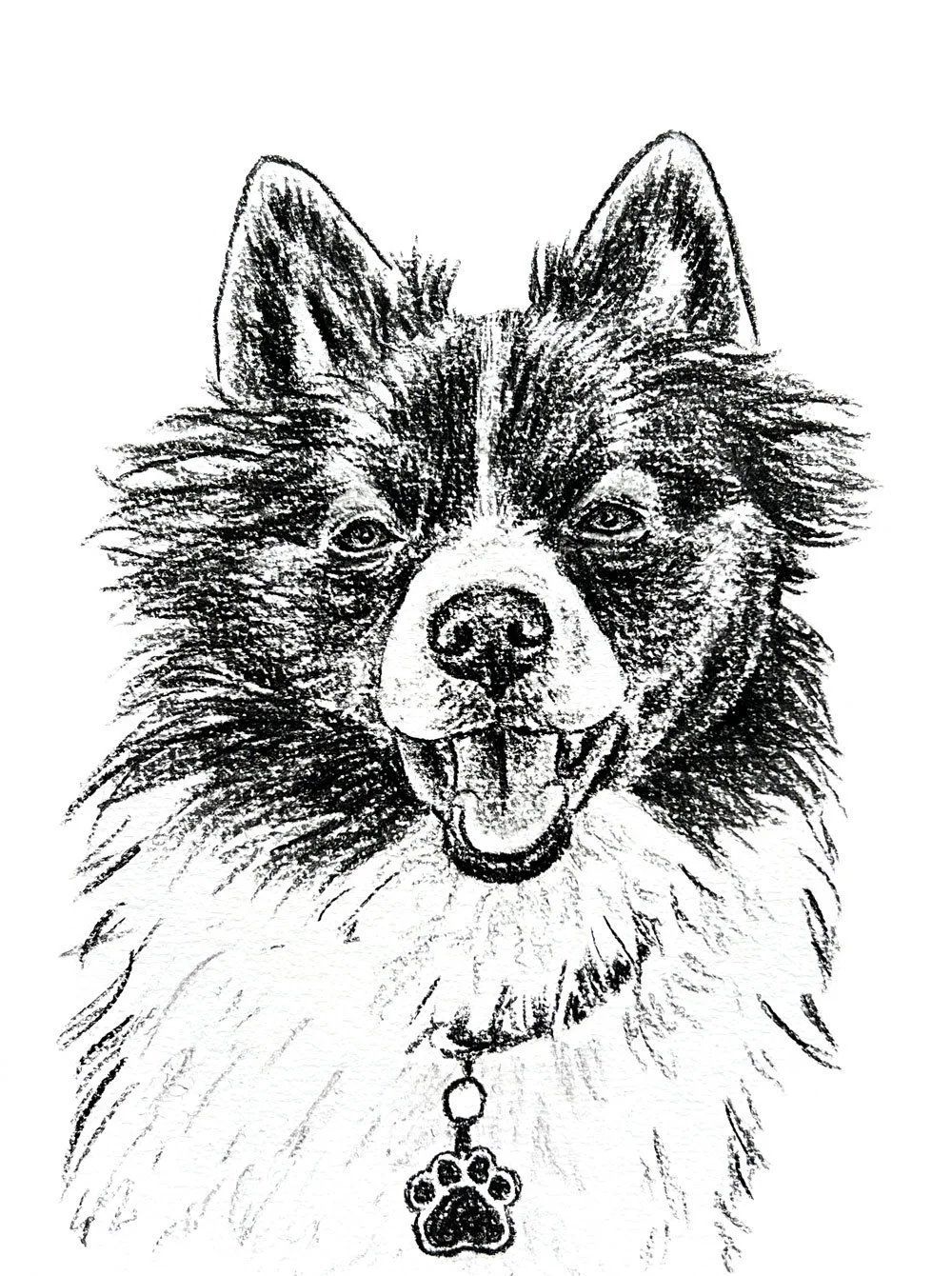 Salme-Pet-Portrait-Sketch-26.jpg